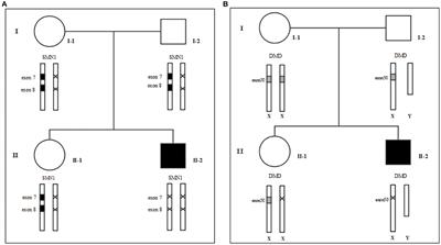 Case Report: Whole-Exome Sequencing With MLPA Revealed Variants in Two Genes in a Patient With Combined Manifestations of Spinal Muscular Atrophy and Duchenne Muscular Dystrophy